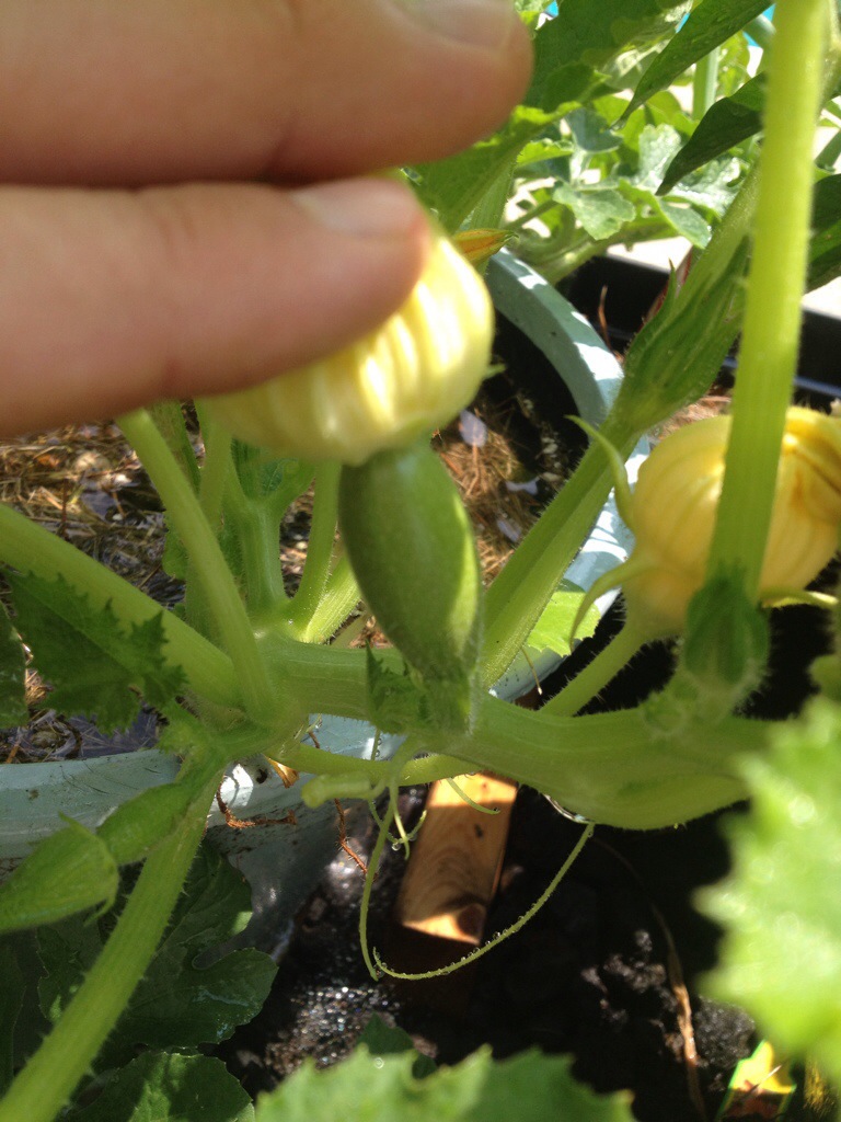 20140803-222221-80541323.ijpg