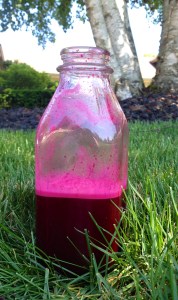 BEET THE HEAT juice